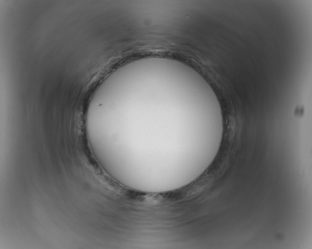 X0000111120612200906301043