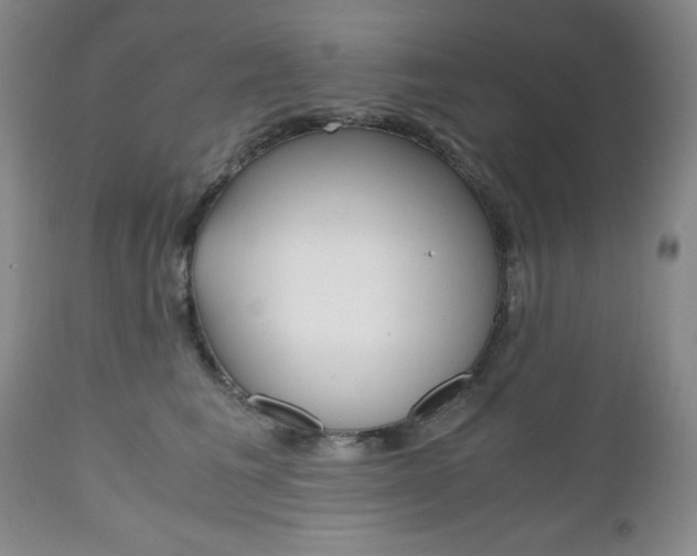 X0000111120613200906301043