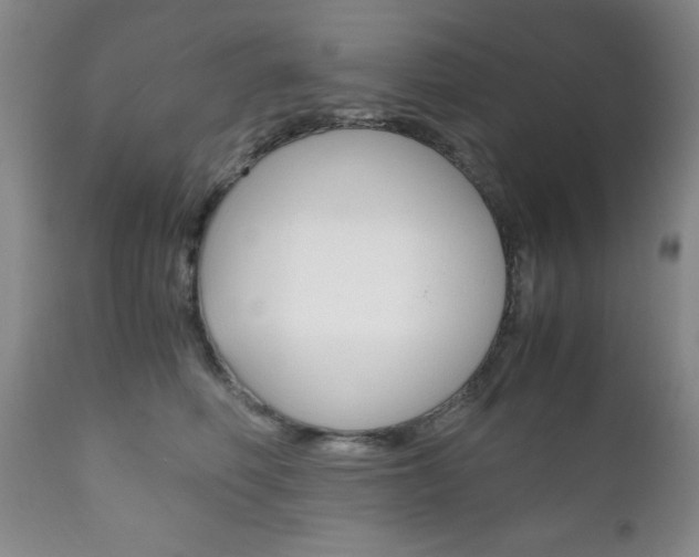 X0000111120614200906301043