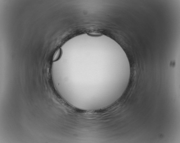 X0000111120615200906301043