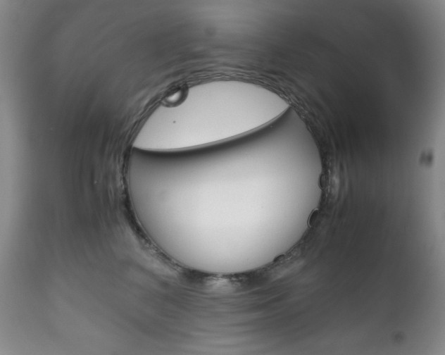 X0000111120616200906301043