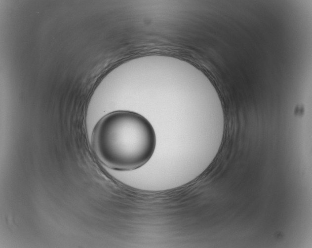 X0000111120621200906301043