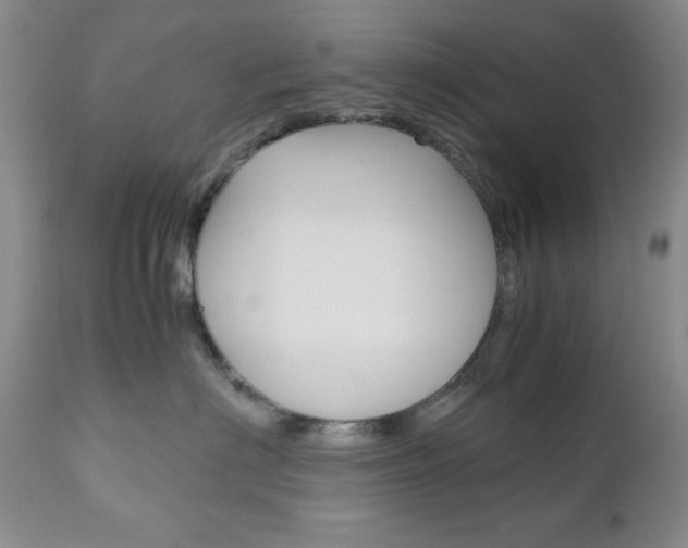 X0000111120622200906301043