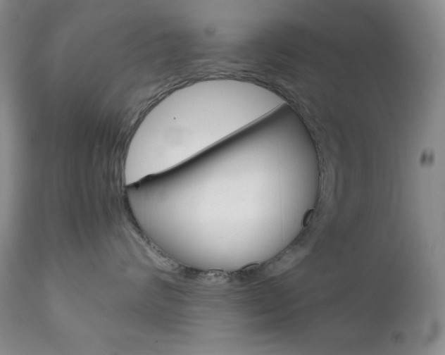 X0000111120624200906301043