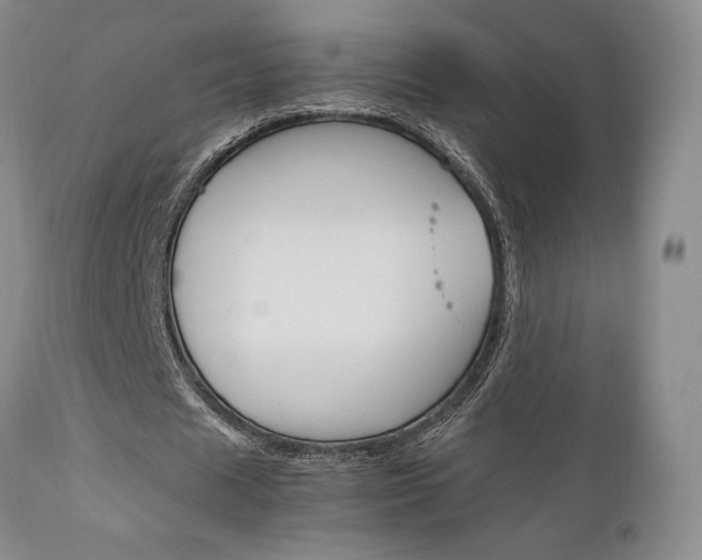 X0000111120625200906301042
