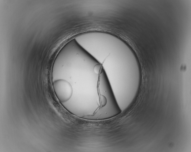 X0000111120626200906301042