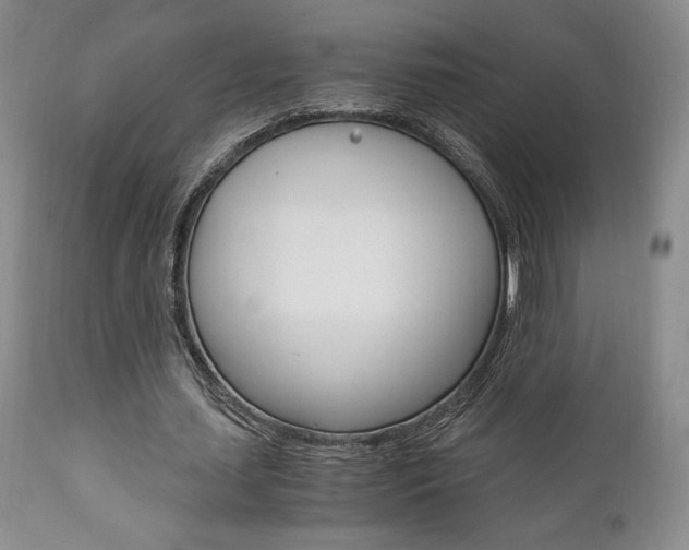 X0000111120627200906301042