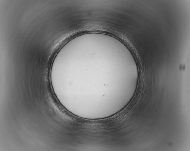 X0000111120629200906301042