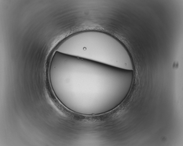 X0000111120630200906301042