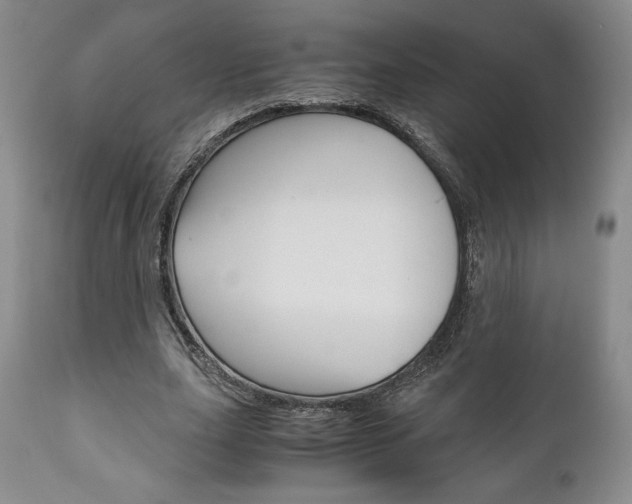 X0000111120631200906301042