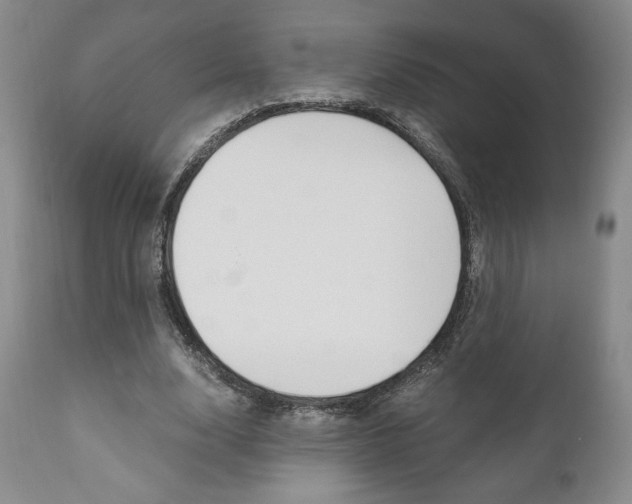 X0000111120632200906301042