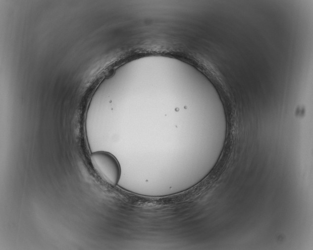 X0000111120635200906301042