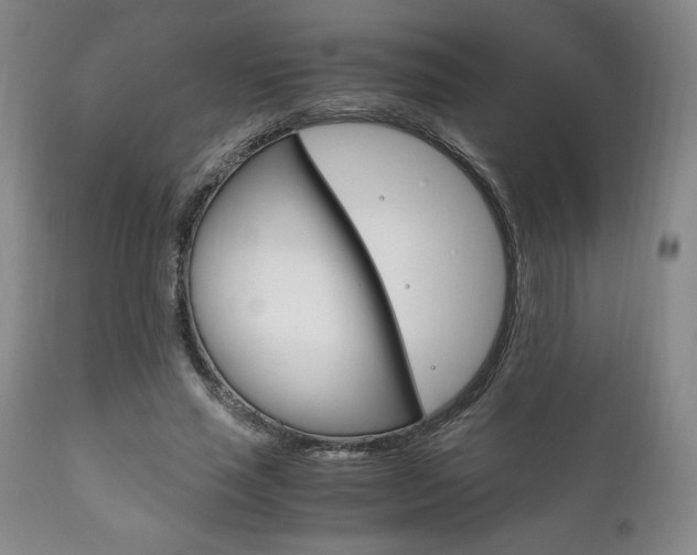 X0000111120637200906301042