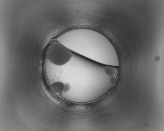 X0000111120638200906301042