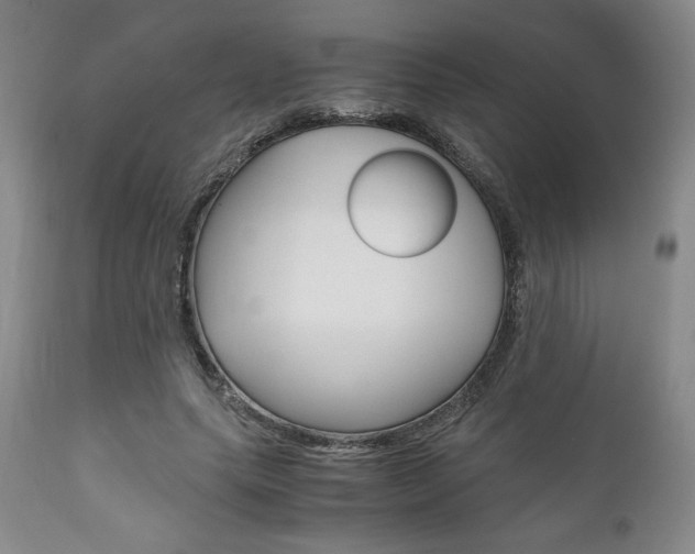 X0000111120639200906301042