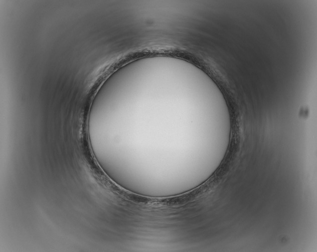 X0000111120640200906301042