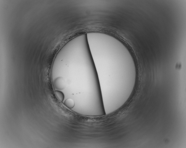 X0000111120641200906301042
