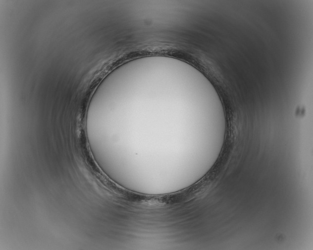 X0000111120644200906301042