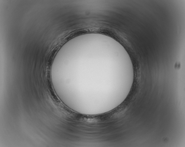 X0000111120645200906301042