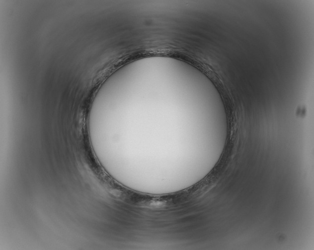 X0000111120647200906301042
