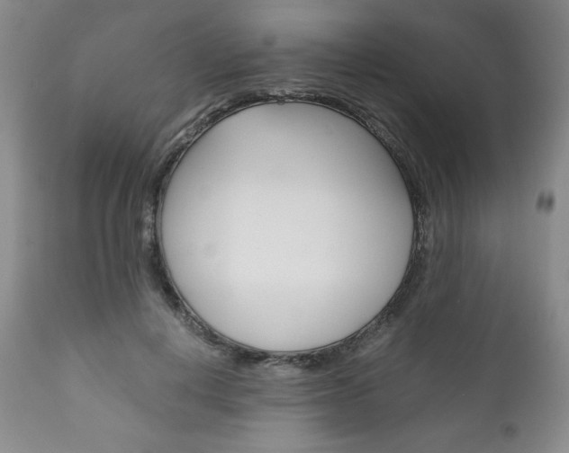 X0000111120648200906301042
