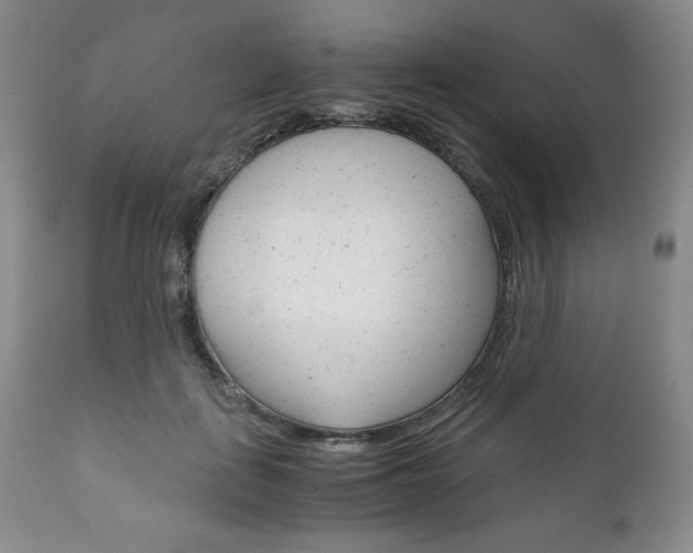 X0000111120651200906301043