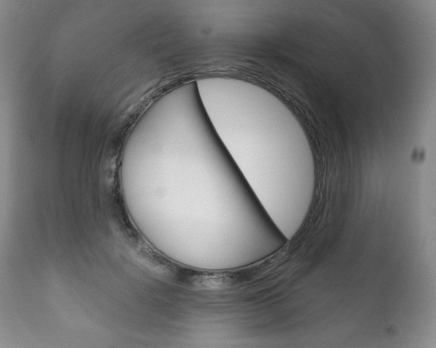 X0000111120652200906301043
