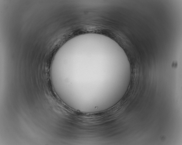 X0000111120653200906301043