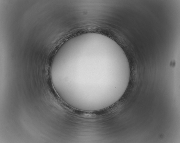 X0000111120654200906301043