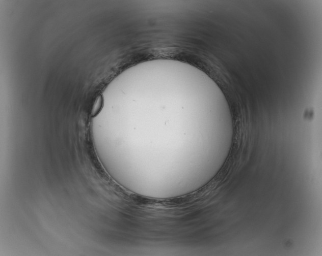 X0000111120655200906301043