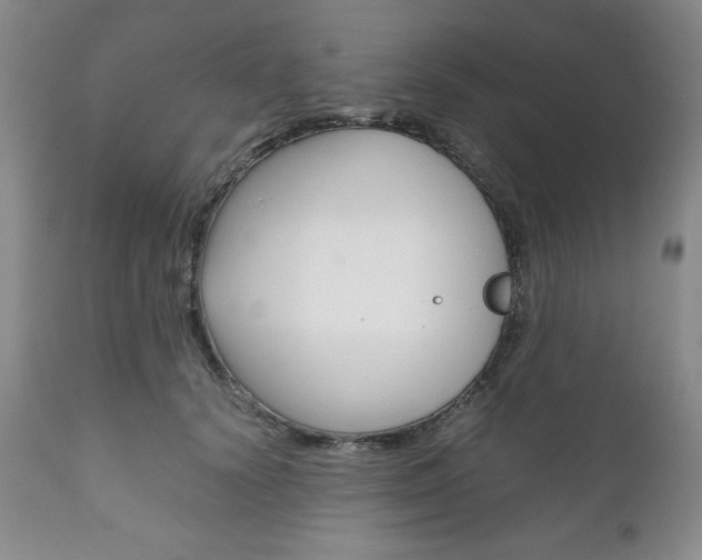 X0000111120656200906301043