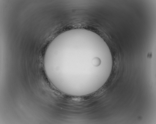 X0000111120659200906301043