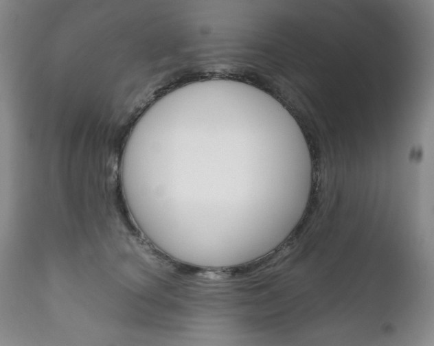 X0000111120660200906301043
