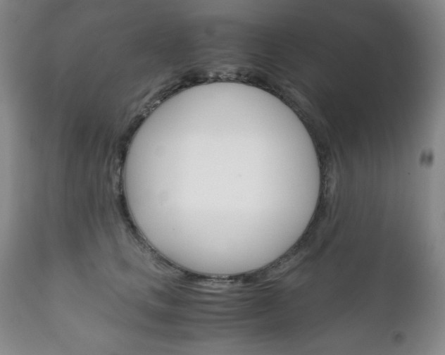 X0000111120661200906301043