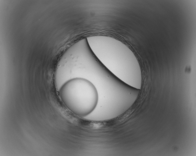 X0000111120662200906301043