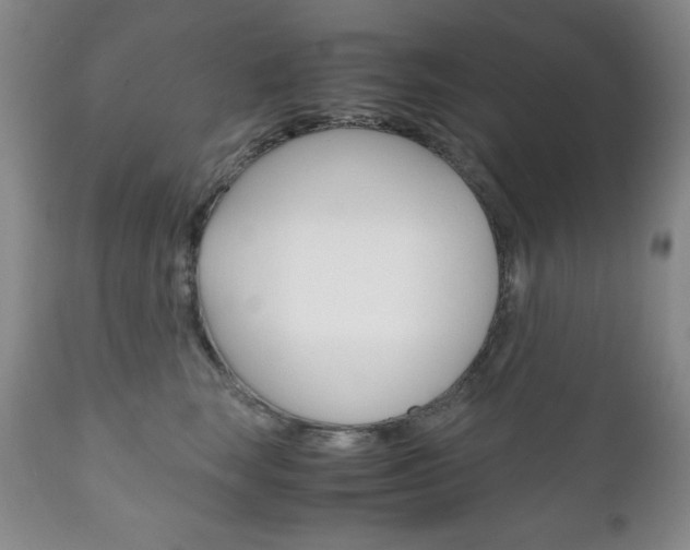 X0000111120663200906301043