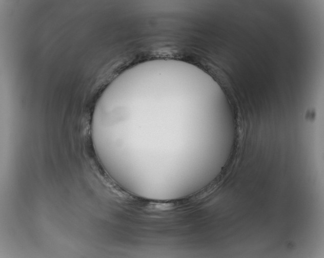 X0000111120665200906301043