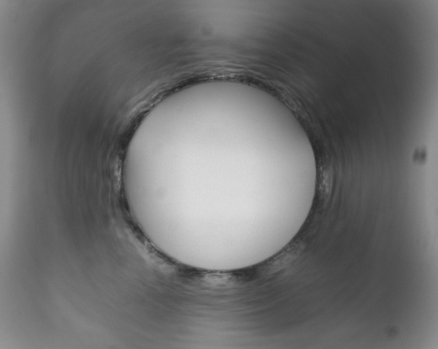 X0000111120666200906301043