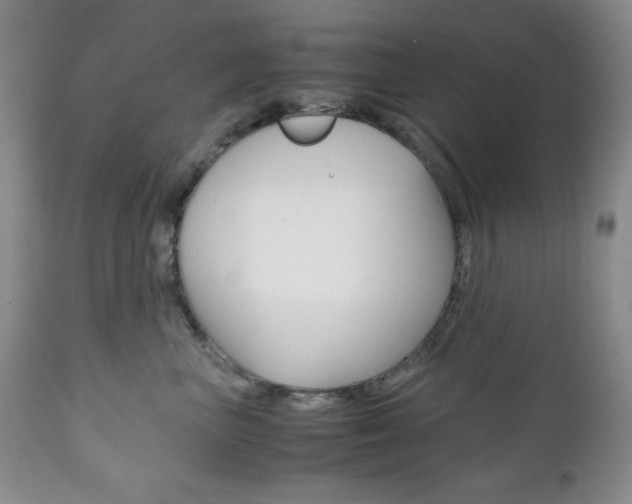 X0000111120667200906301043