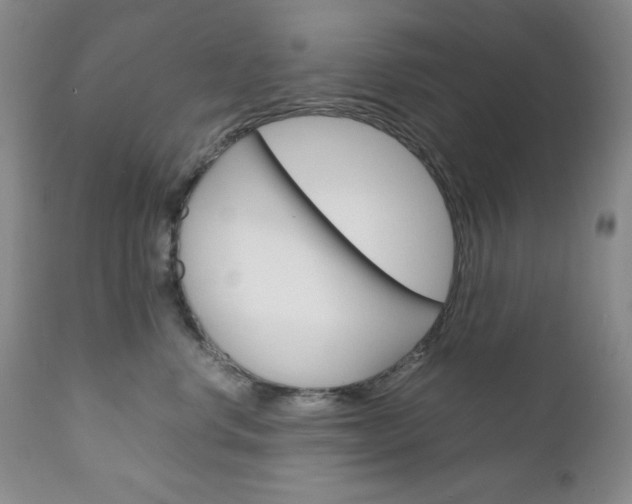 X0000111120668200906301043