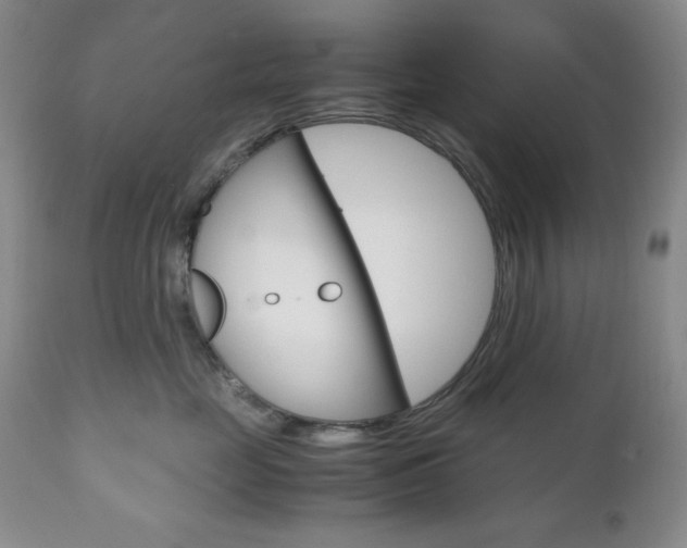 X0000111120669200906301043