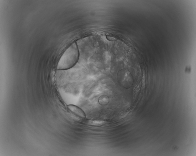 X0000111120671200906301043