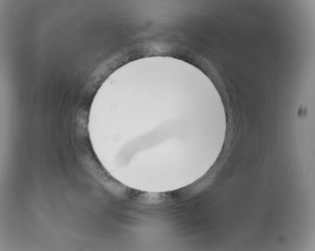 X0000111120672200906301043