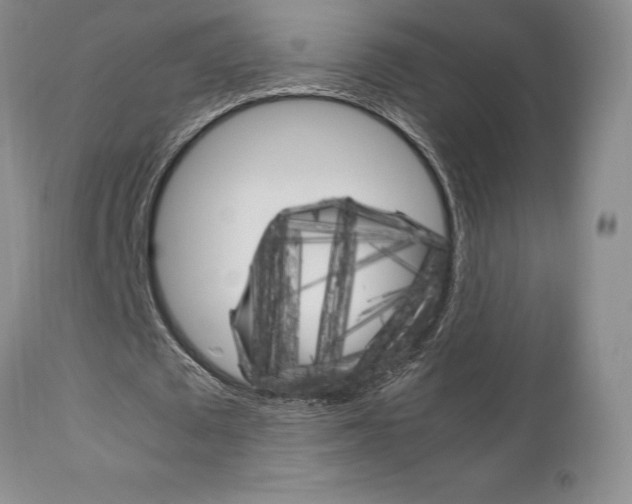 X0000111120673200906301042