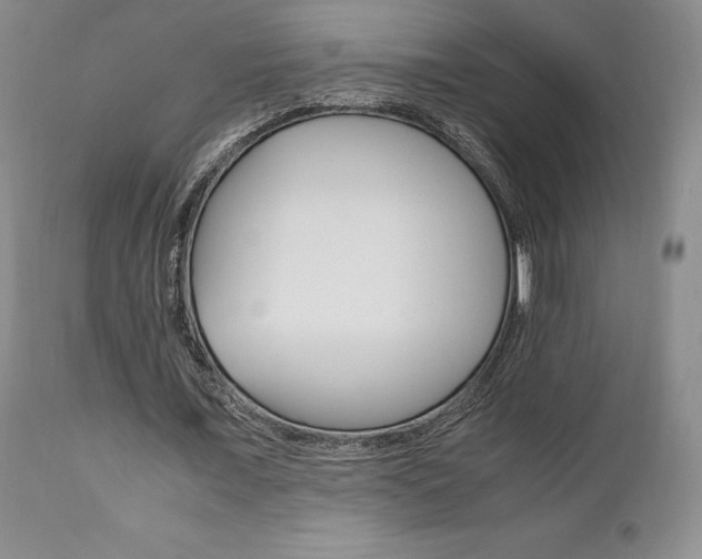 X0000111120675200906301042