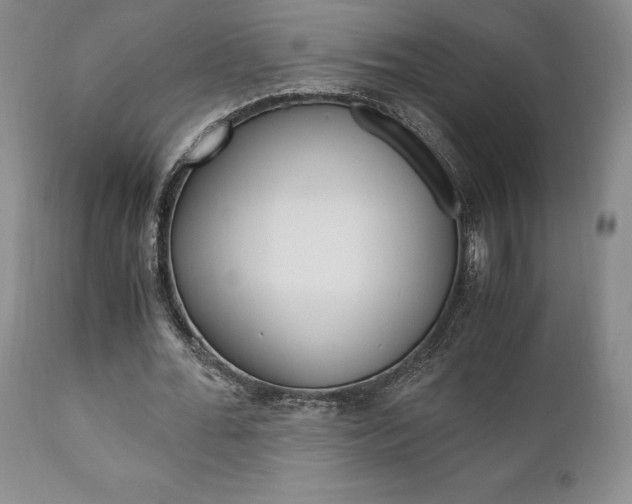 X0000111120676200906301042