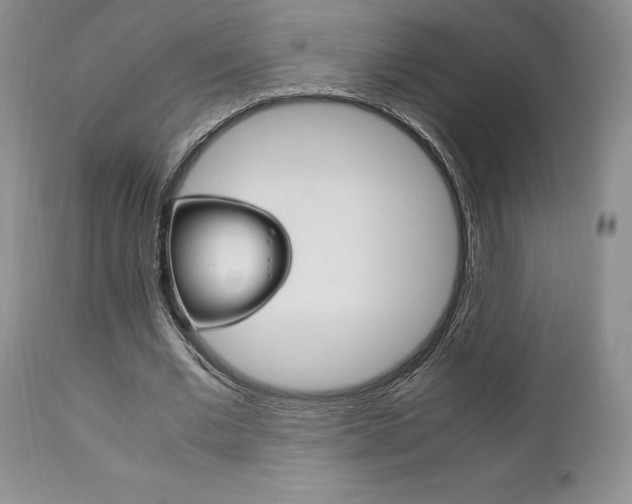 X0000111120677200906301042