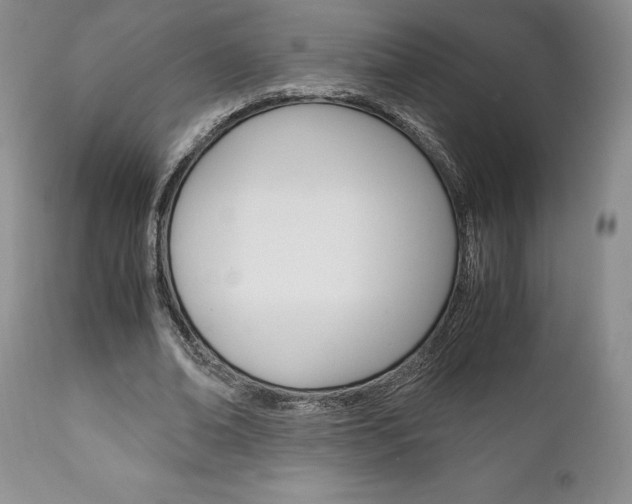 X0000111120678200906301042