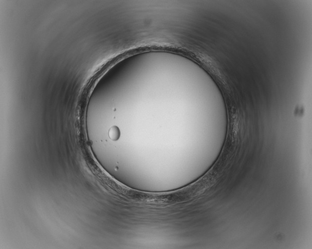 X0000111120680200906301042