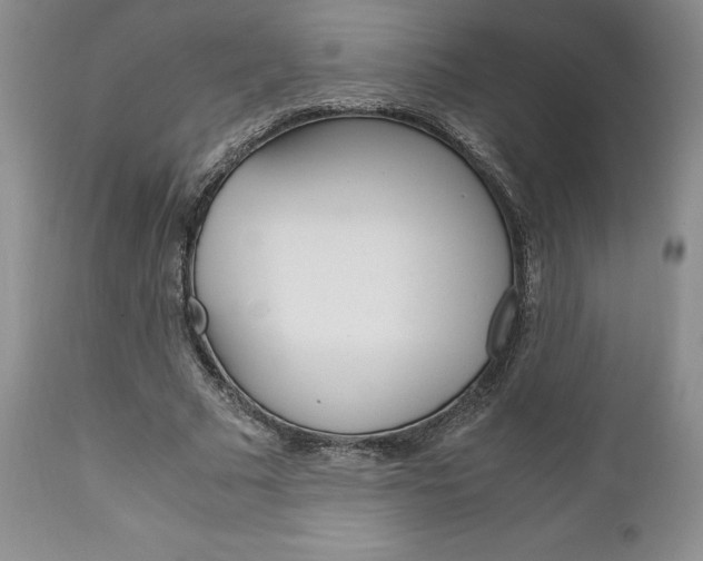 X0000111120681200906301042
